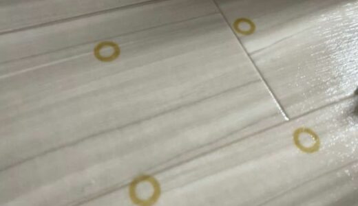 賃貸物件に住んでいて床にできた色じみ！